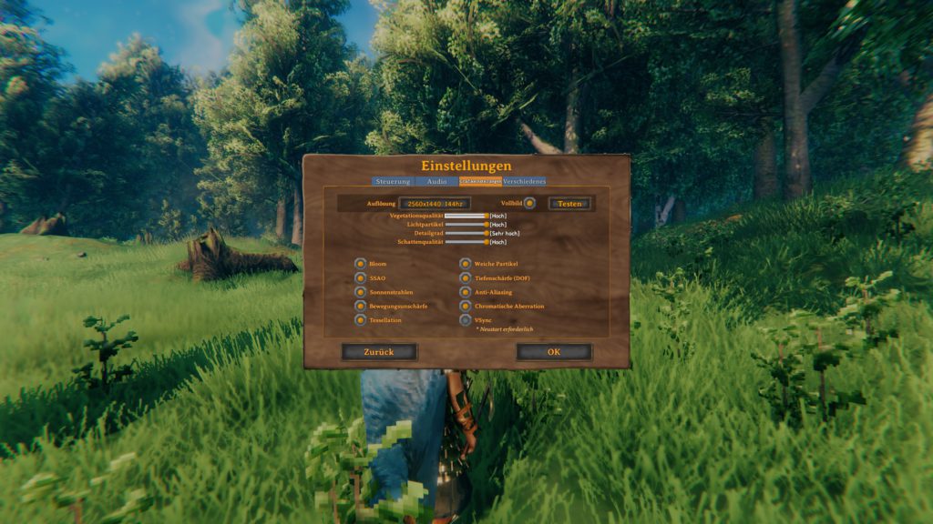 valheim review settings